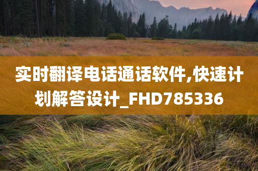 实时翻译电话通话软件,快速计划解答设计_FHD785336