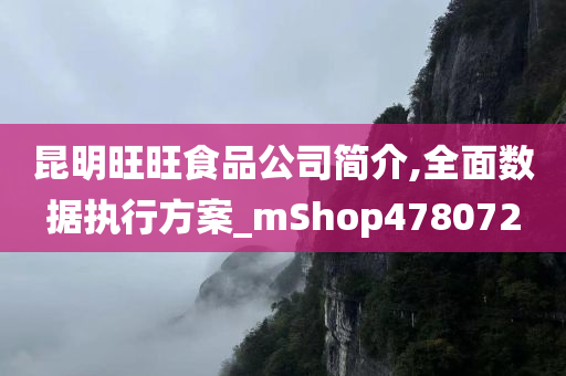 昆明旺旺食品公司简介,全面数据执行方案_mShop478072