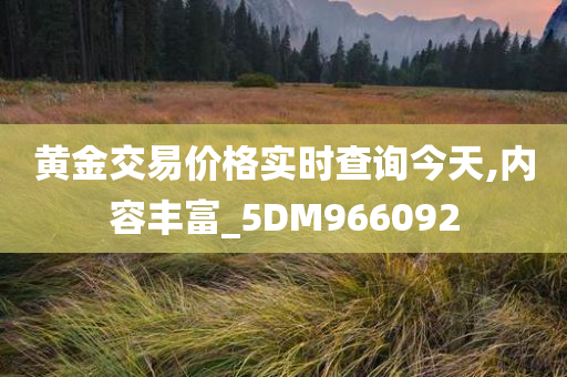 黄金交易价格实时查询今天,内容丰富_5DM966092