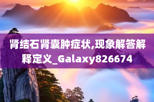 肾结石肾囊肿症状,现象解答解释定义_Galaxy826674