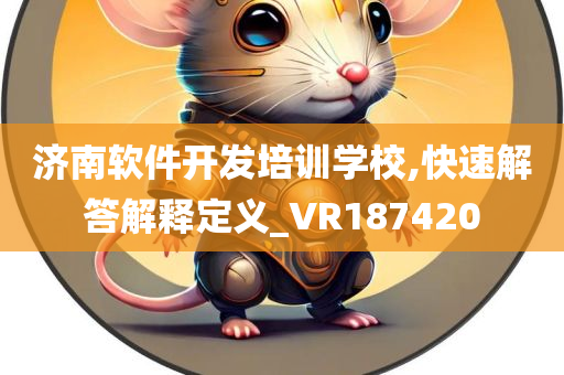 济南软件开发培训学校,快速解答解释定义_VR187420