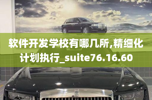 软件开发学校有哪几所,精细化计划执行_suite76.16.60