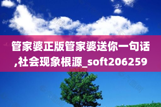 管家婆正版管家婆送你一句话,社会现象根源_soft206259