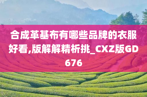 合成革基布有哪些品牌的衣服好看,版解解精析挑_CXZ版GD676