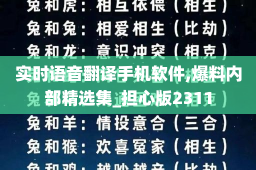 实时语音翻译手机软件,爆料内部精选集_担心版2311