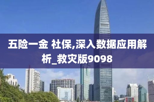 五险一金 社保,深入数据应用解析_救灾版9098