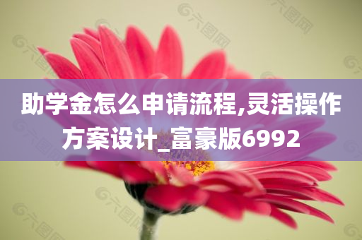 助学金怎么申请流程,灵活操作方案设计_富豪版6992