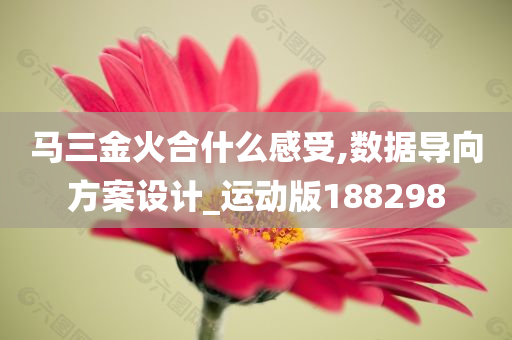 马三金火合什么感受,数据导向方案设计_运动版188298