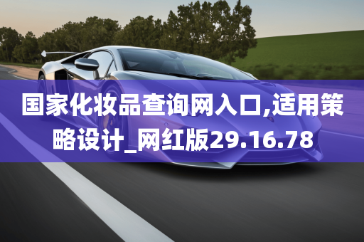 国家化妆品查询网入口,适用策略设计_网红版29.16.78