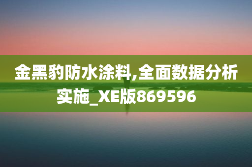 金黑豹防水涂料,全面数据分析实施_XE版869596