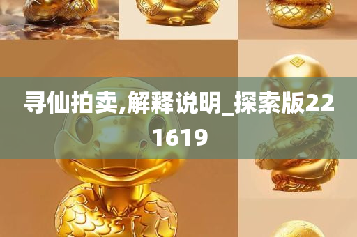 寻仙拍卖,解释说明_探索版221619