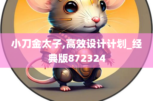 小刀金太子,高效设计计划_经典版872324