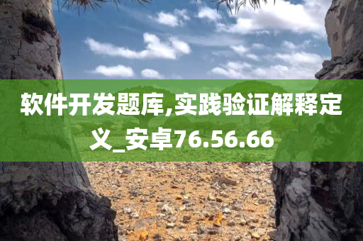 软件开发题库,实践验证解释定义_安卓76.56.66