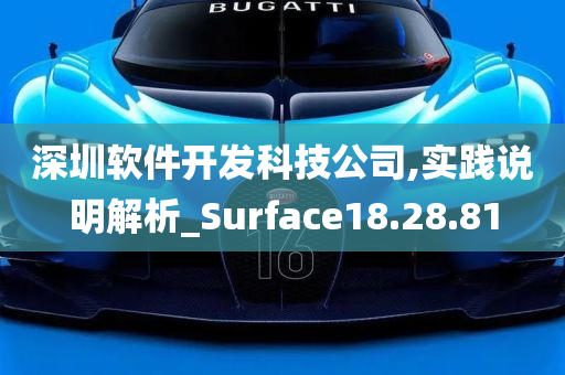 深圳软件开发科技公司,实践说明解析_Surface18.28.81