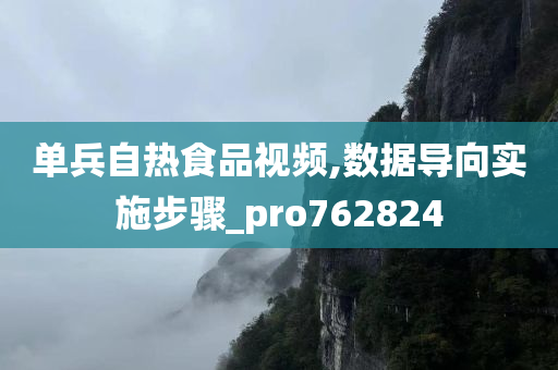 单兵自热食品视频,数据导向实施步骤_pro762824