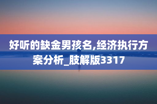 好听的缺金男孩名,经济执行方案分析_肢解版3317