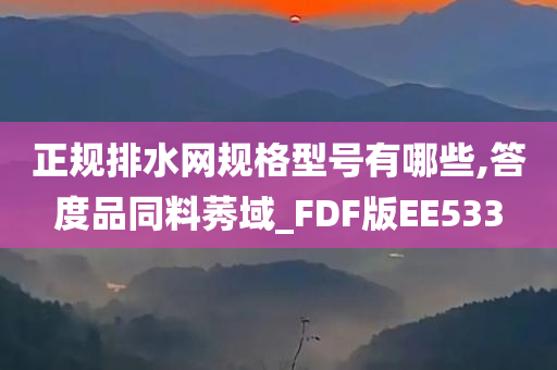 正规排水网规格型号有哪些,答度品同料莠域_FDF版EE533