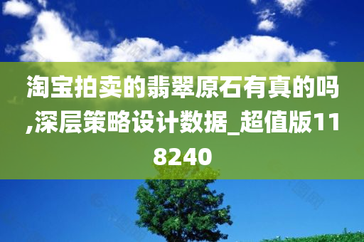 淘宝拍卖的翡翠原石有真的吗,深层策略设计数据_超值版118240