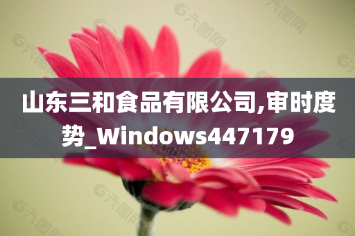 山东三和食品有限公司,审时度势_Windows447179