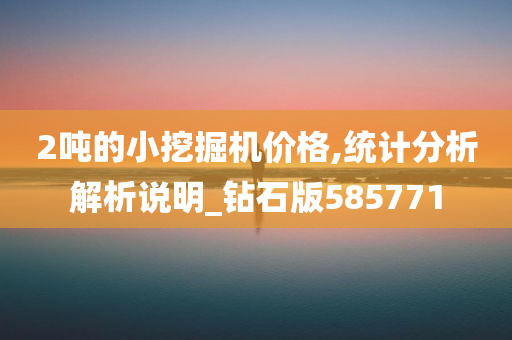 2吨的小挖掘机价格,统计分析解析说明_钻石版585771