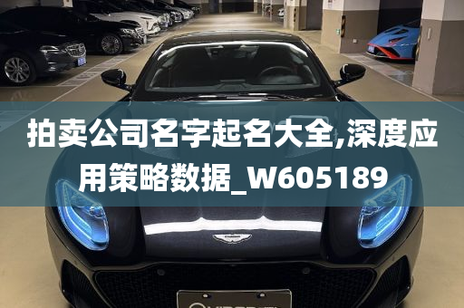 拍卖公司名字起名大全,深度应用策略数据_W605189