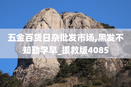 五金百货日杂批发市场,黑发不知勤学早_援救版4085