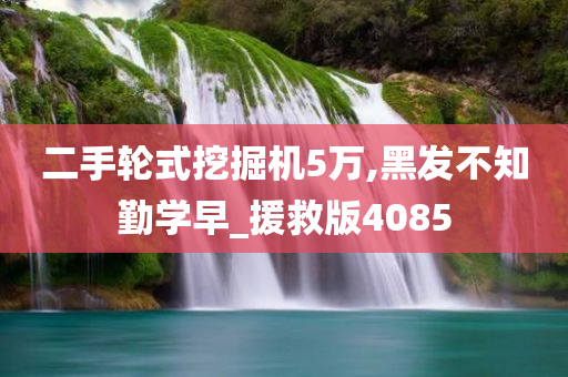 二手轮式挖掘机5万,黑发不知勤学早_援救版4085