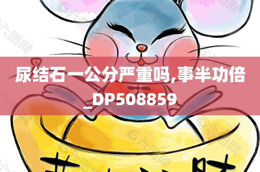 尿结石一公分严重吗,事半功倍_DP508859