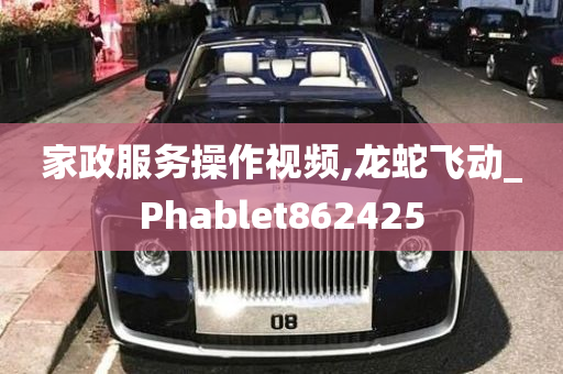 家政服务操作视频,龙蛇飞动_Phablet862425