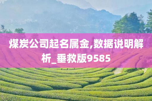 煤炭公司起名属金,数据说明解析_垂救版9585