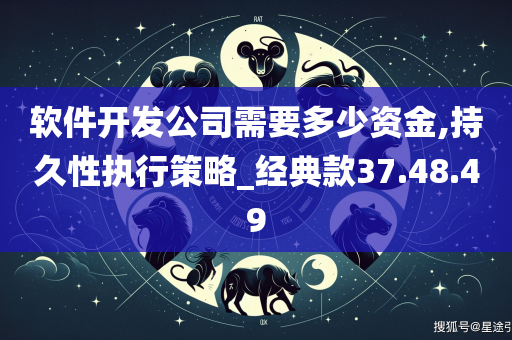 软件开发公司需要多少资金,持久性执行策略_经典款37.48.49