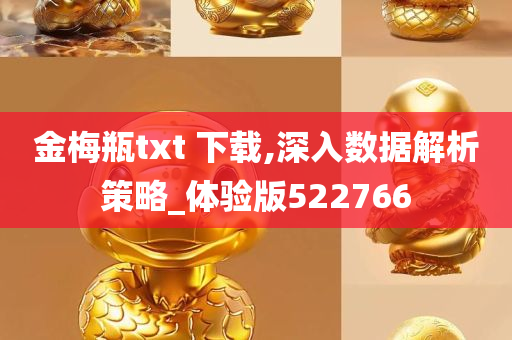 金梅瓶txt 下载,深入数据解析策略_体验版522766