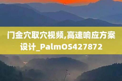 门金穴取穴视频,高速响应方案设计_PalmOS427872