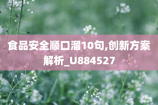 食品安全顺口溜10句,创新方案解析_U884527