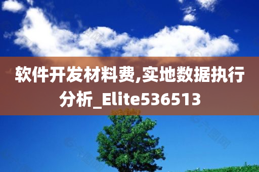 软件开发材料费,实地数据执行分析_Elite536513