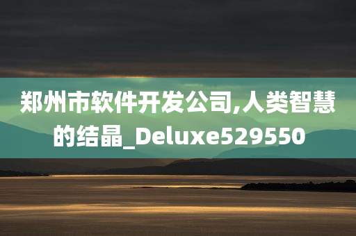 郑州市软件开发公司,人类智慧的结晶_Deluxe529550