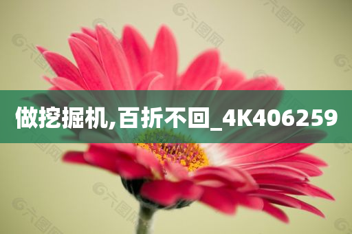 做挖掘机,百折不回_4K406259