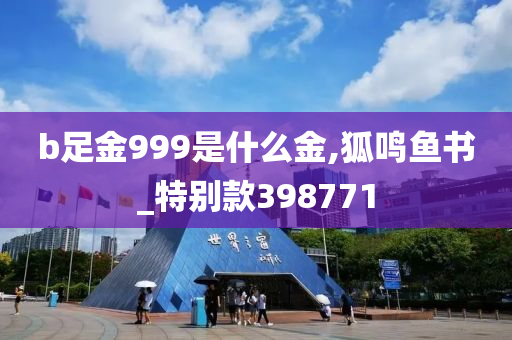 b足金999是什么金,狐鸣鱼书_特别款398771