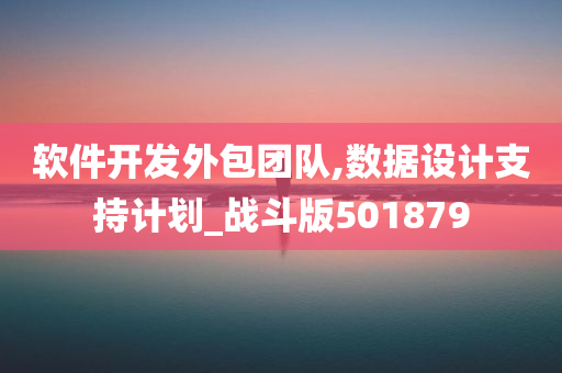 软件开发外包团队,数据设计支持计划_战斗版501879