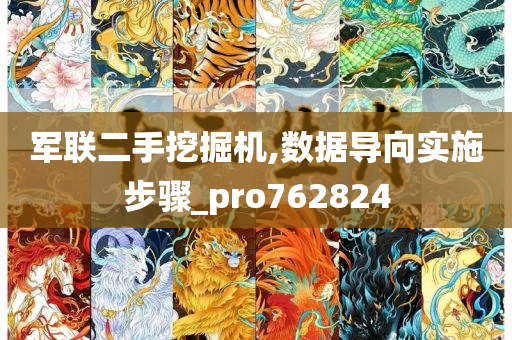 军联二手挖掘机,数据导向实施步骤_pro762824