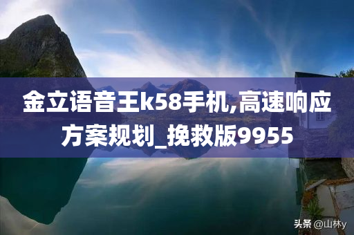 金立语音王k58手机,高速响应方案规划_挽救版9955