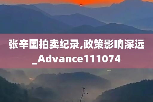 张辛国拍卖纪录,政策影响深远_Advance111074