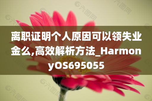 离职证明个人原因可以领失业金么,高效解析方法_HarmonyOS695055