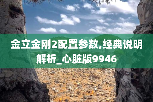 金立金刚2配置参数,经典说明解析_心脏版9946