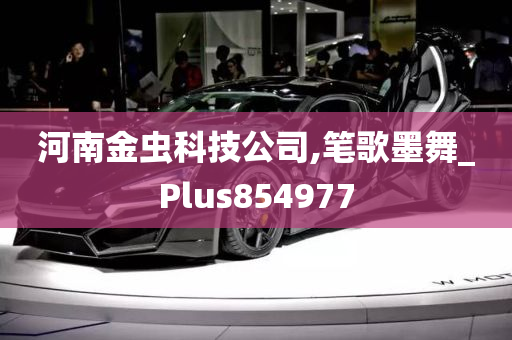 河南金虫科技公司,笔歌墨舞_Plus854977