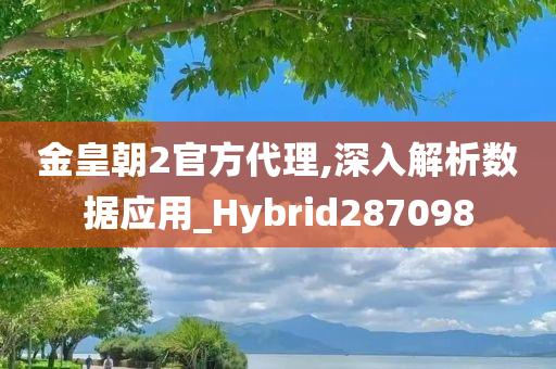 金皇朝2官方代理,深入解析数据应用_Hybrid287098