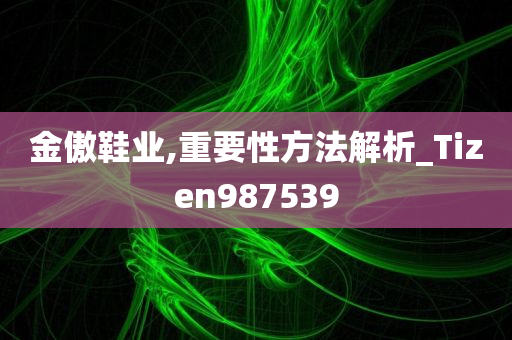 金傲鞋业,重要性方法解析_Tizen987539