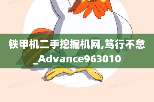 铁甲机二手挖掘机网,笃行不怠_Advance963010