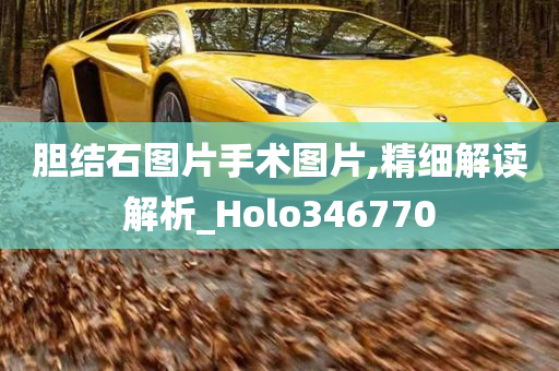 胆结石图片手术图片,精细解读解析_Holo346770