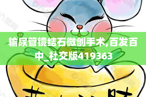 输尿管镜结石微创手术,百发百中_社交版419363